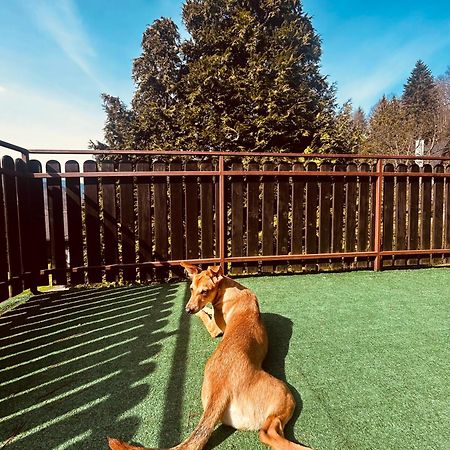 Willa Karolinka Stroza - Pet Friendly Myślenice Εξωτερικό φωτογραφία