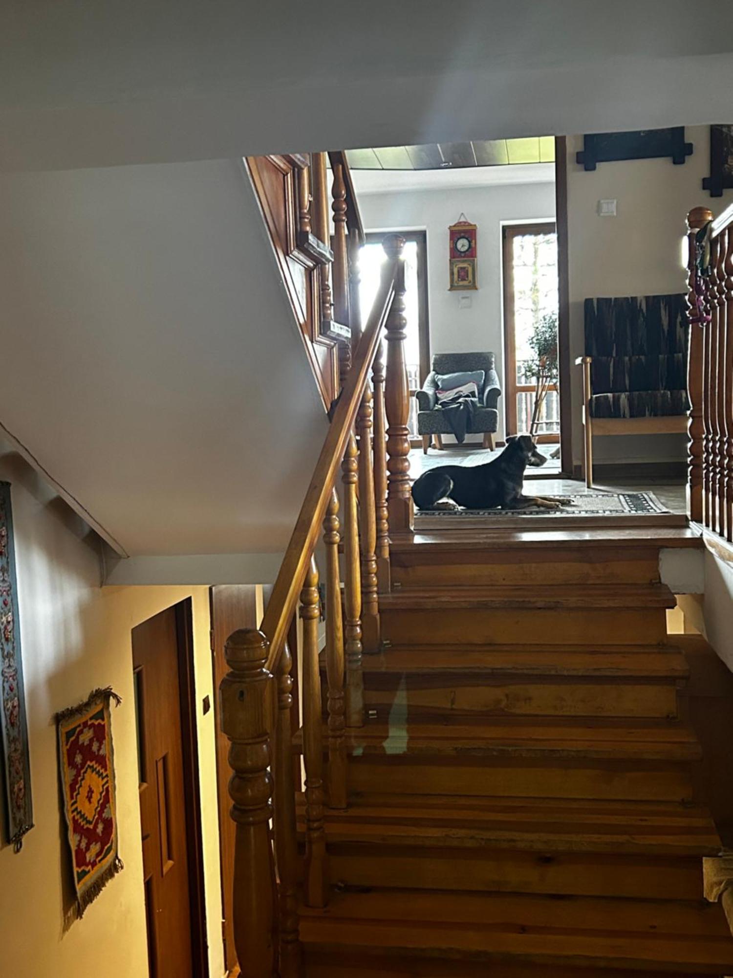 Willa Karolinka Stroza - Pet Friendly Myślenice Εξωτερικό φωτογραφία